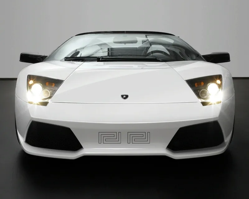 Lamborghini LP 640 Roadster Versace, oeuvre...caritative — photo 1