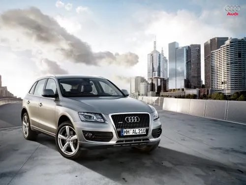 audi q5 10