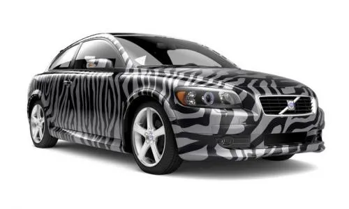 Volvo C Zebre
